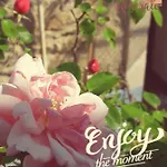 La Roseraie Lodève