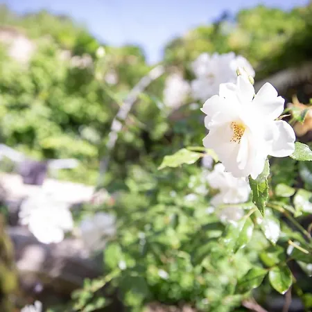 Maison d'hôtes La Roseraie