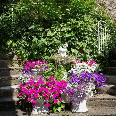 Maison d'hôtes La Roseraie Lodève