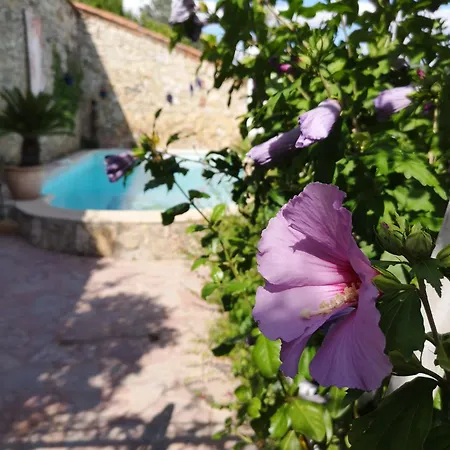 La Roseraie