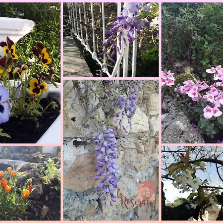 La Roseraie Maison d'hôtes Lodève